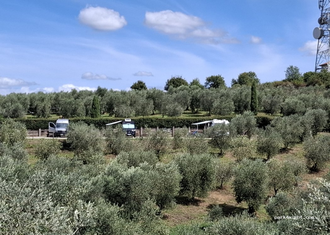 Agricampeggio Gli Olmi — foto 5