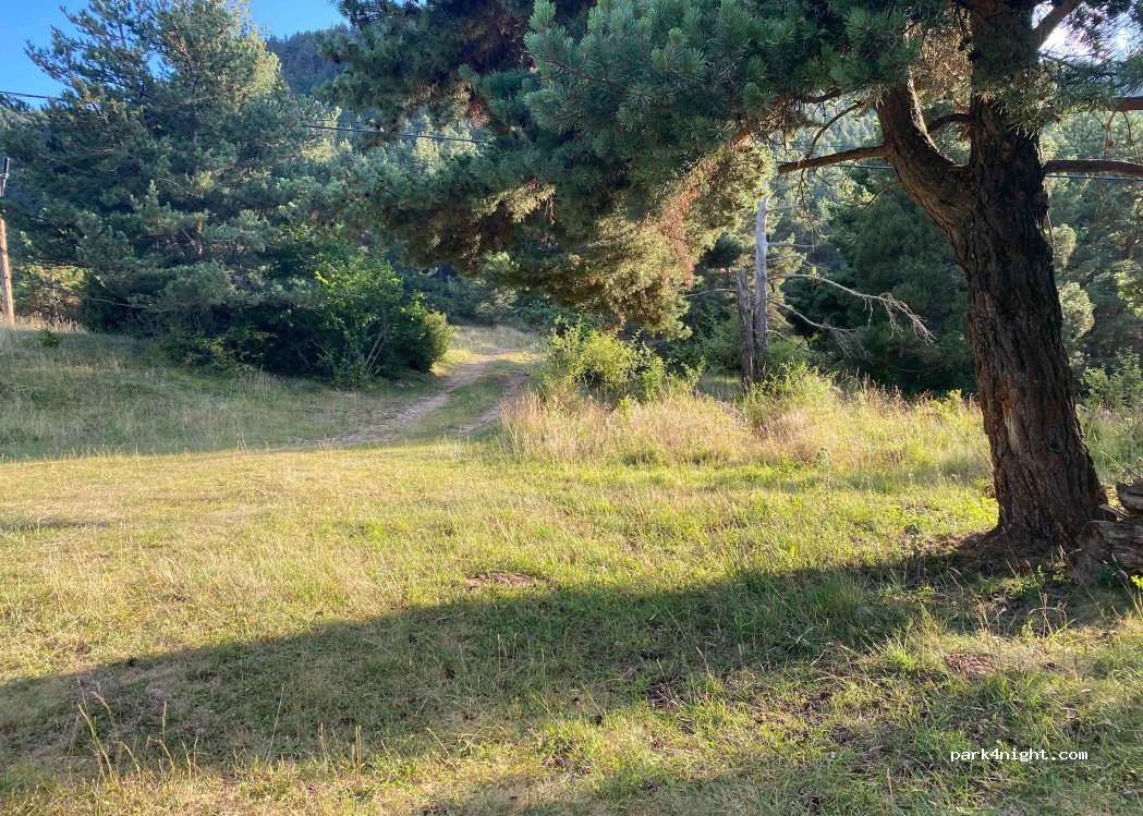 (17538) Masella - — foto