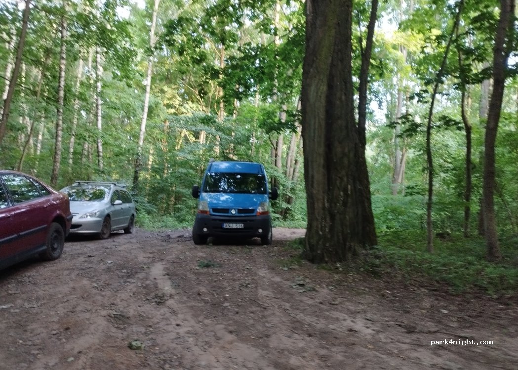 (53136) Šlienava - — foto