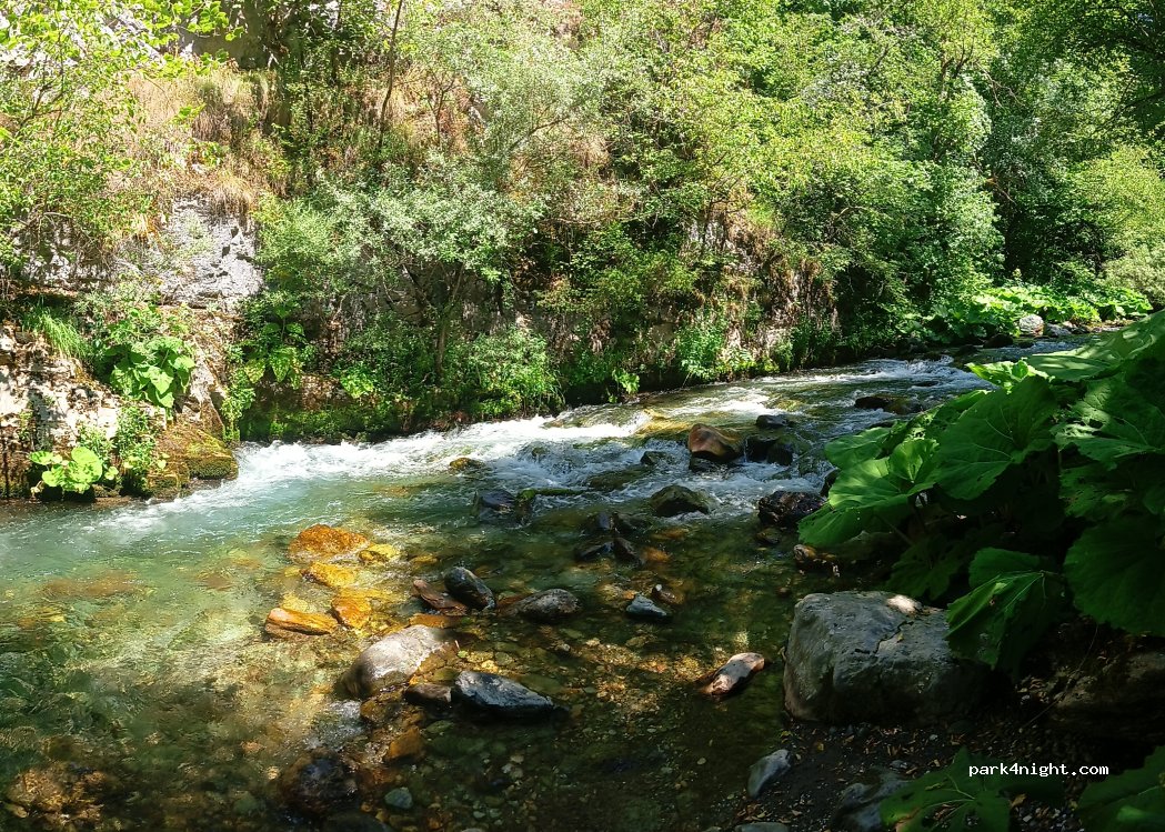 () Volkovija - — foto 3