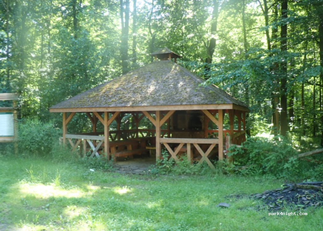 (48-340) Markowice - Rezerwat przyrody Przyłęk — foto 3