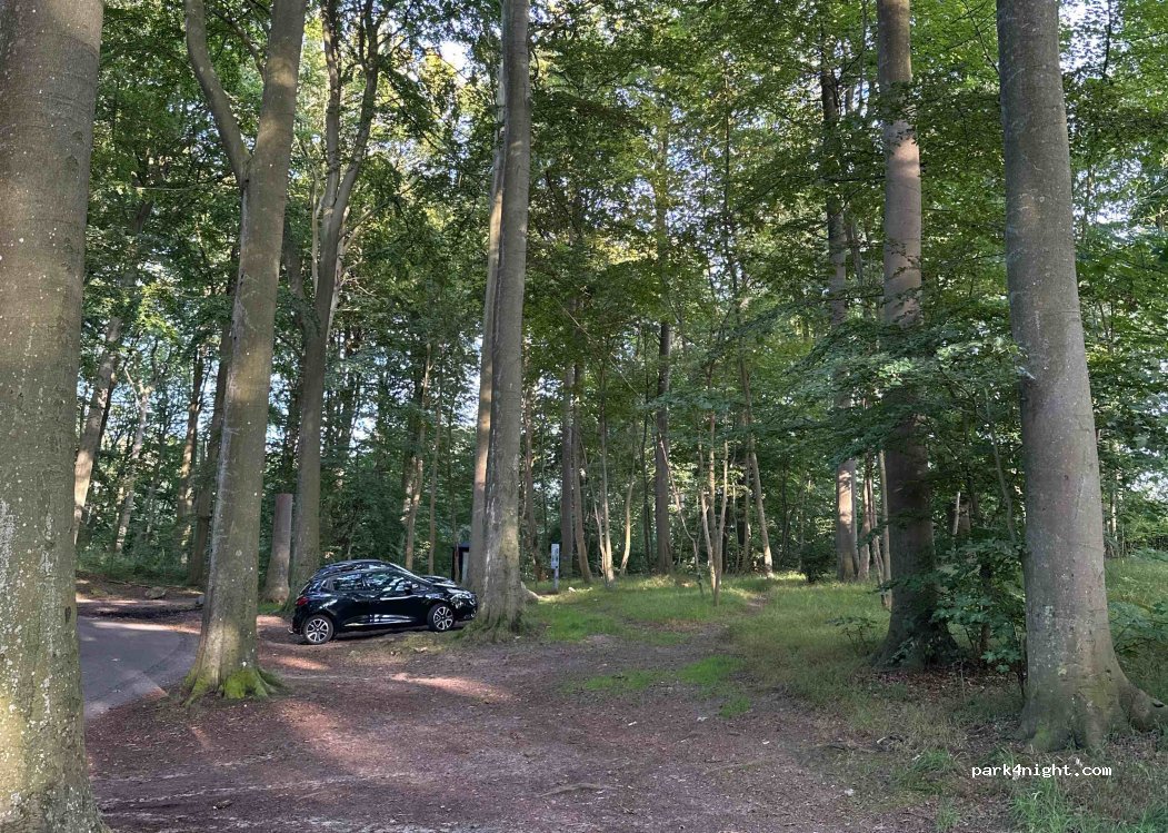 (4220) Korsør - 30 Korsør Lystskov — foto