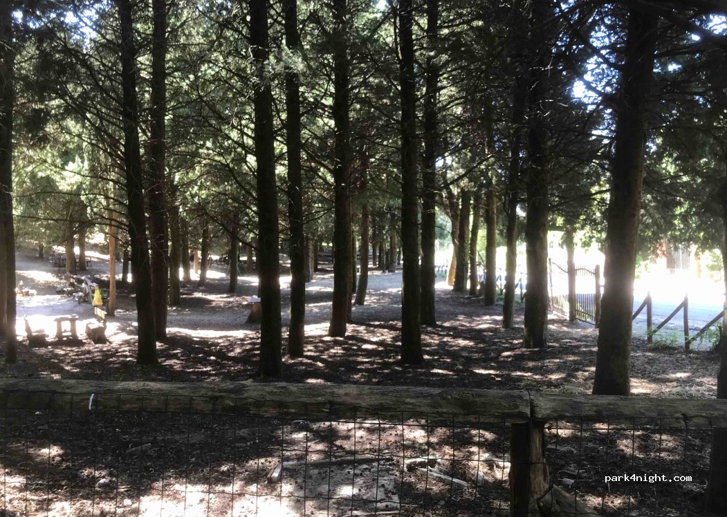 (98070) Galati Mamertino - — foto