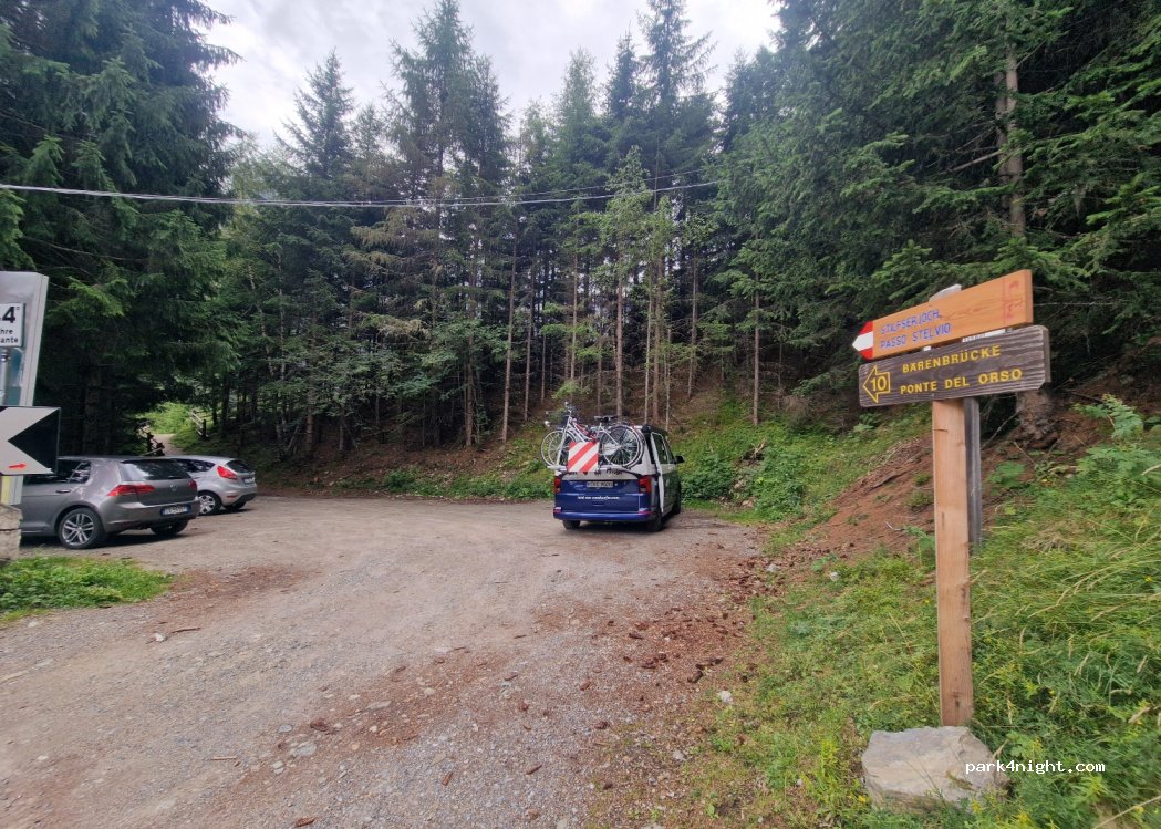 (39029) Stelvio - — foto