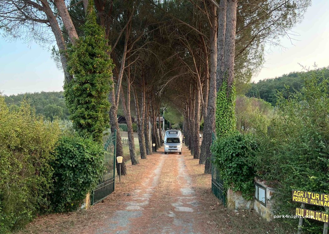 Camping Podere Mulinaccio — foto 3