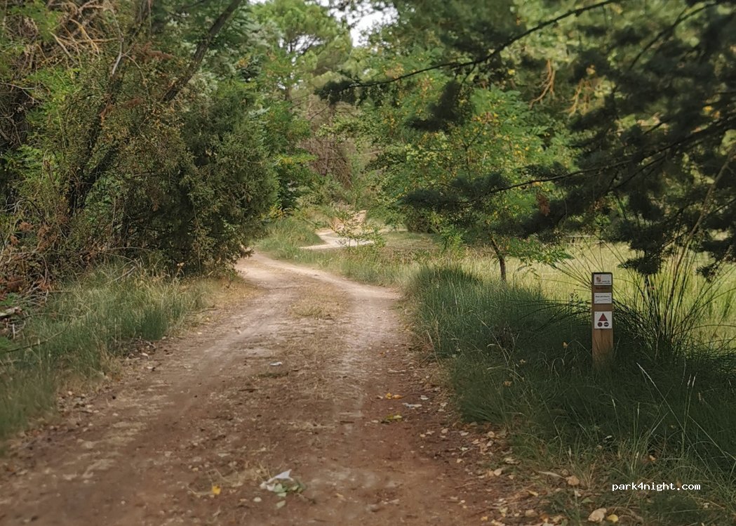 (09471) La Vid - 124 Calle Diseminado — foto 5
