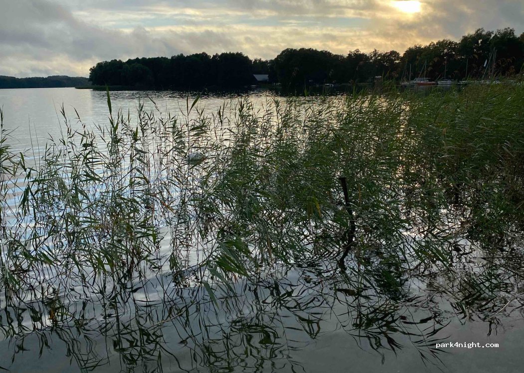 (78-552) Czaplinek - 14 Droga Wojewódzka 163 — foto 2
