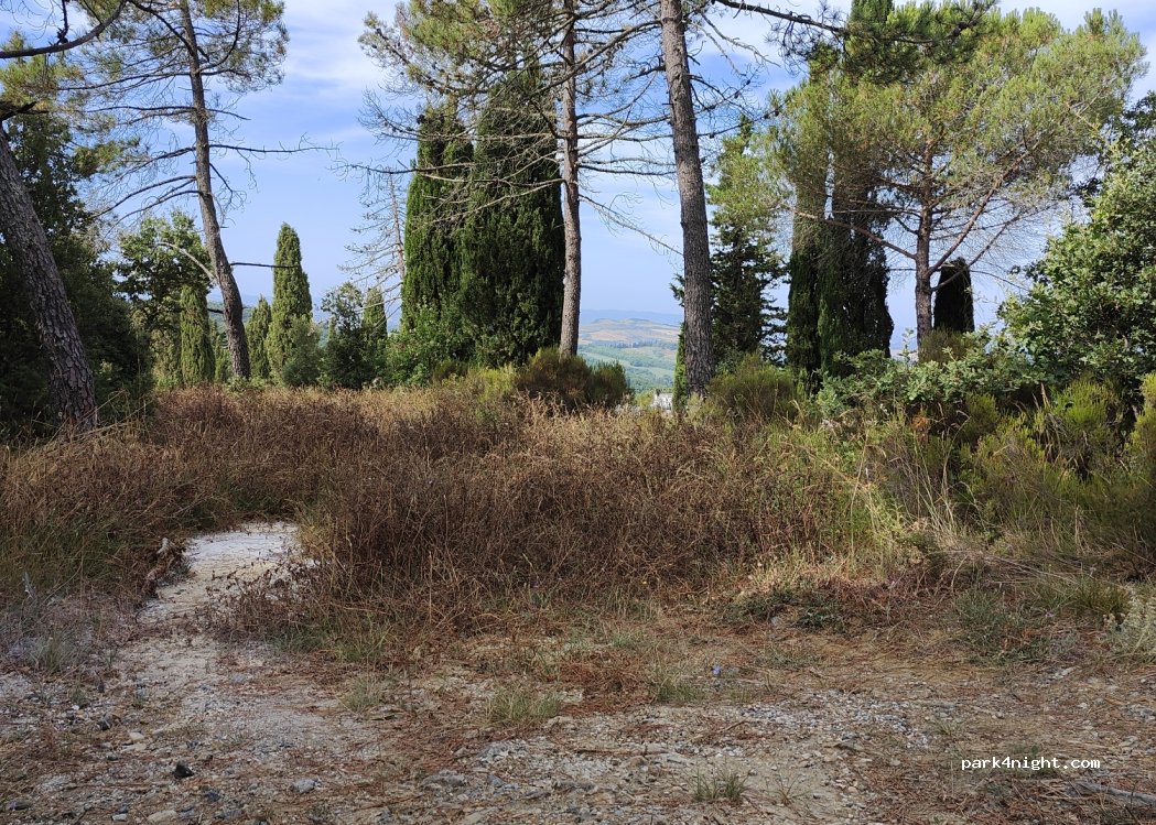 (56048) Volterra - — foto