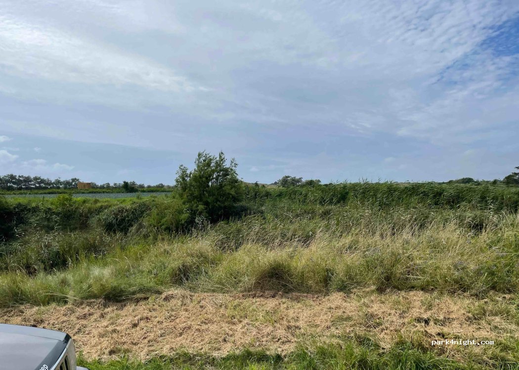 (50250) La Haye - Unnamed Road — foto 2