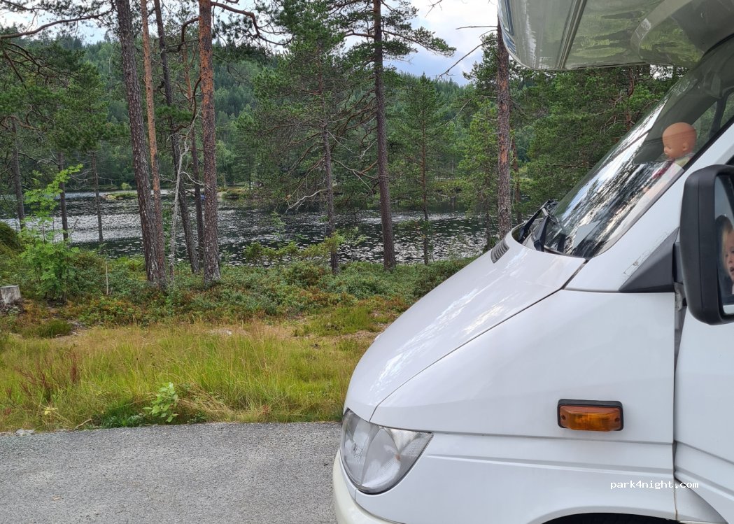 (6630) Tingvoll - 789 Vågavegen — foto