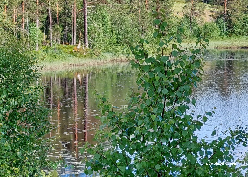 (6630) Tingvoll - 789 Vågavegen — foto 2
