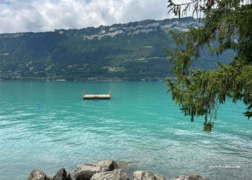 (3855) Brienz - 1185 Bottenbalm — foto