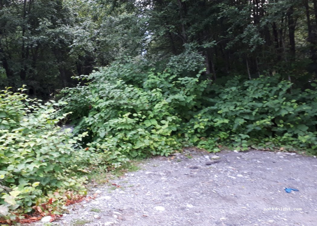 (74400) Chamonix-Mont-Blanc - 23 Chemin des Dailles — foto