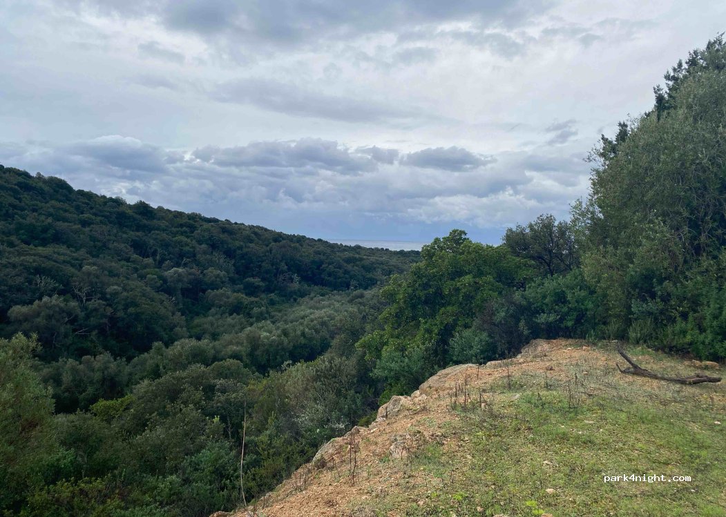 (20140) Serra-di-Ferro - Unnamed Road — foto
