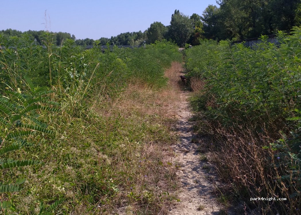 (42027) Montecchio Emilia - Unnamed Road — foto
