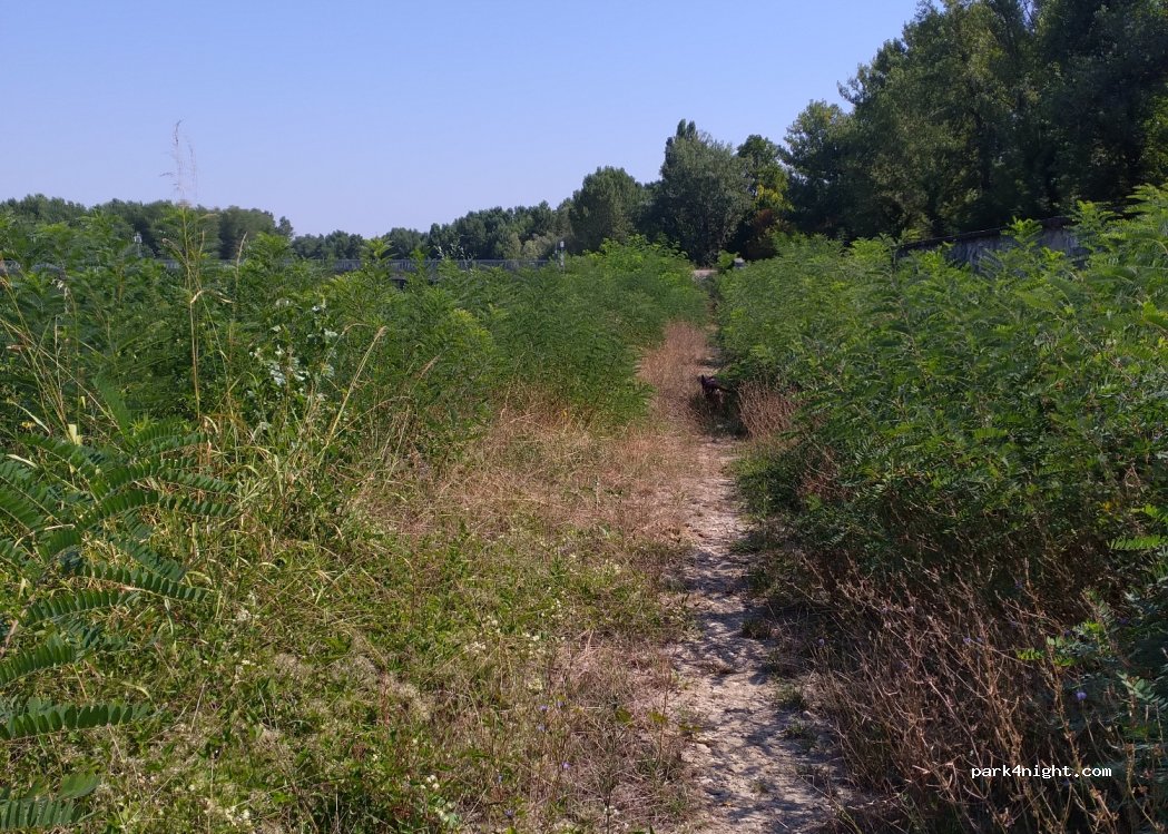 (42027) Montecchio Emilia - Unnamed Road — foto 2