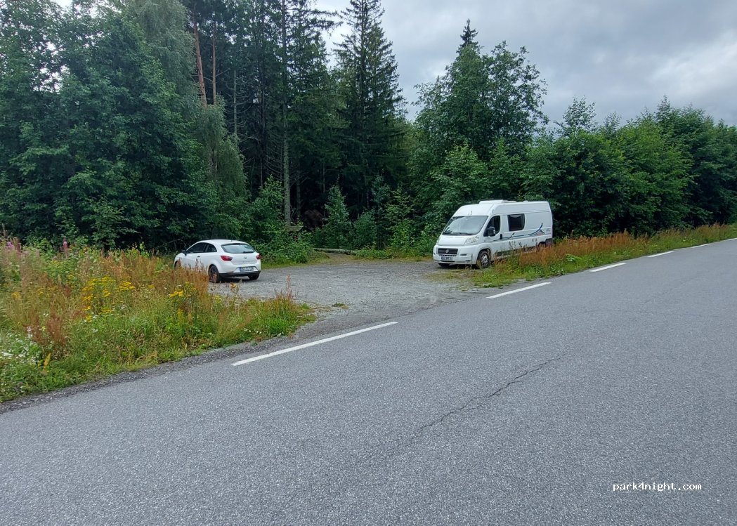 (3539) Flå - — foto 3
