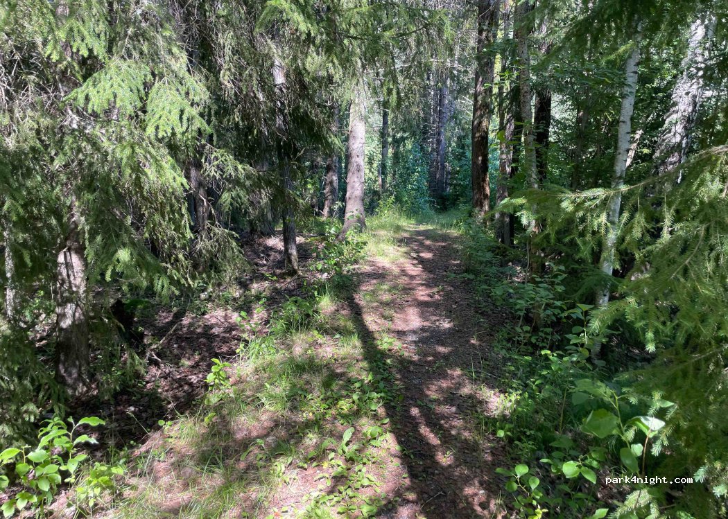(3539) Flå - — foto 4