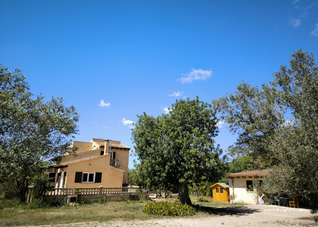 (07620) Llucmajor - 190 Lugar Poligono 11 — foto 4