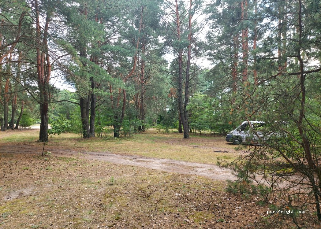 Kemping Glinki — foto 3