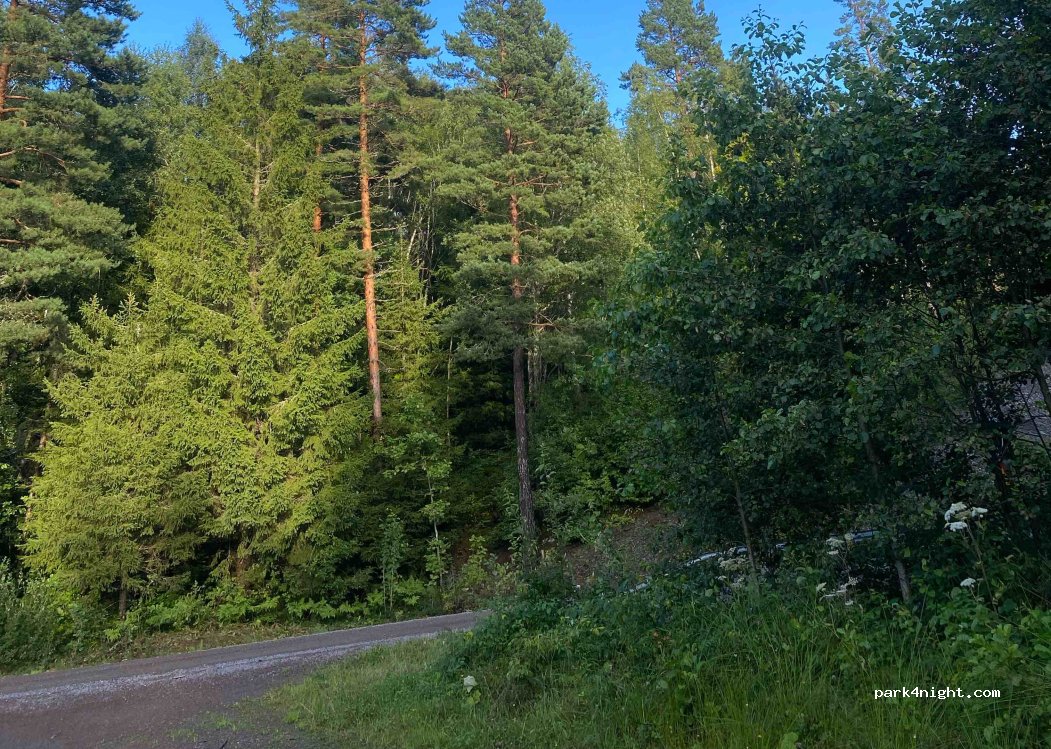 (662 97) Ånimskog - — foto 2
