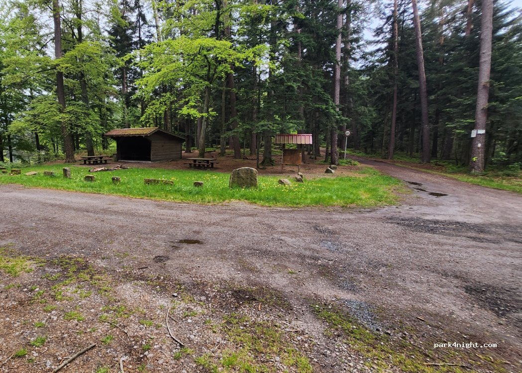 (88100) Saint-Dié-des-Vosges - Unnamed Road — foto