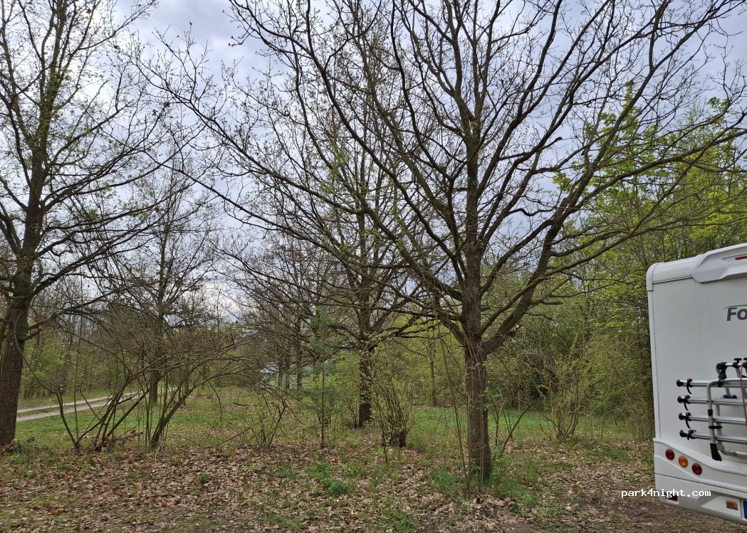 (16278) Angermünde - Unnamed Road — foto 5