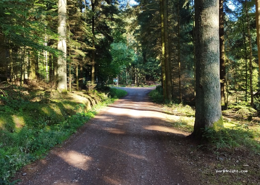 (88470) Nompatelize - 405 Chemin du Pâquis — foto