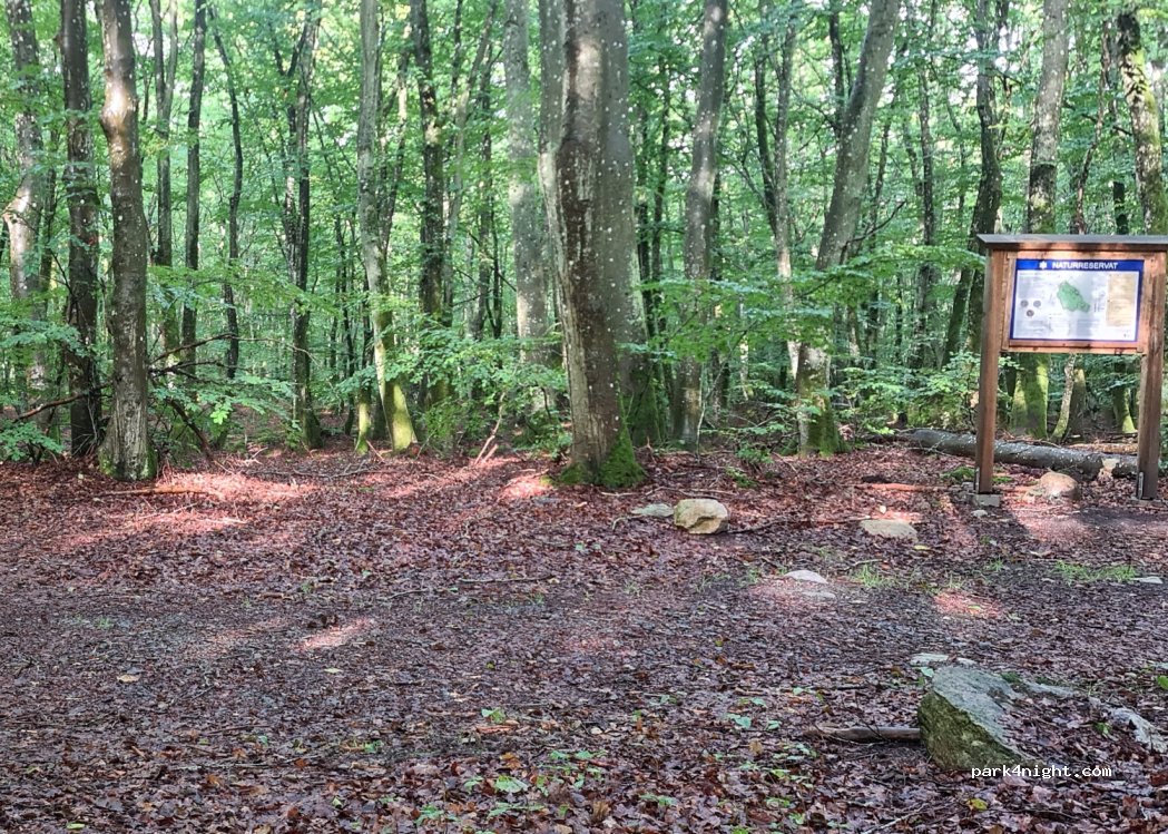 (273 95) Onslunda - Unnamed Road — foto