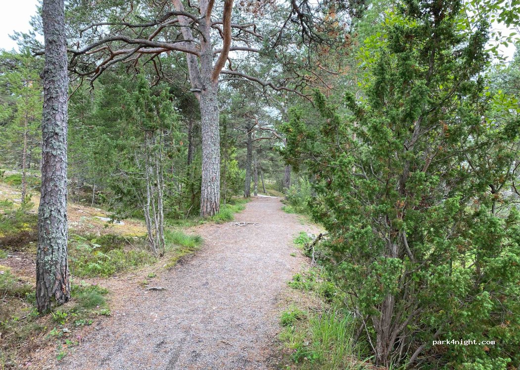 (742 43) Öregrund - 5 Snöbärvägen — foto 3