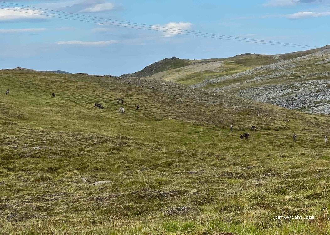 (9763) Honningsvåg - 9 Skarsvågveien — foto 2