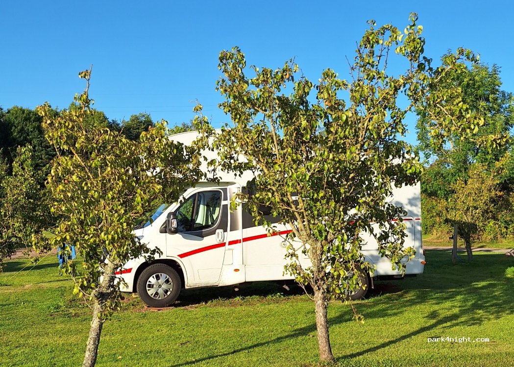 Blossom Touring Park — foto