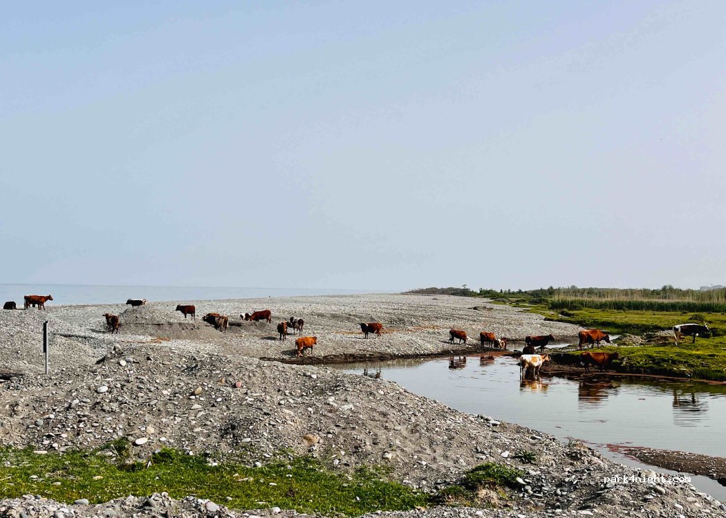 (6000) Batumi - — foto