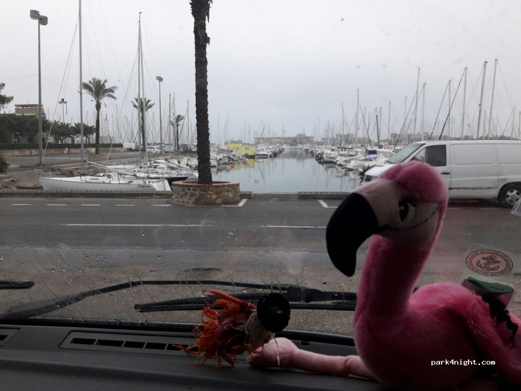(66750) Saint-Cyprien - Quai Arthur Rimbaud — foto