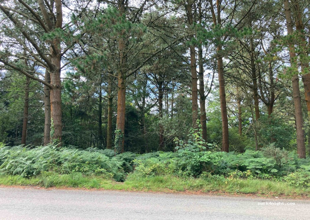 (TR16 5JE) Truro - National Cycle Route 3 — foto