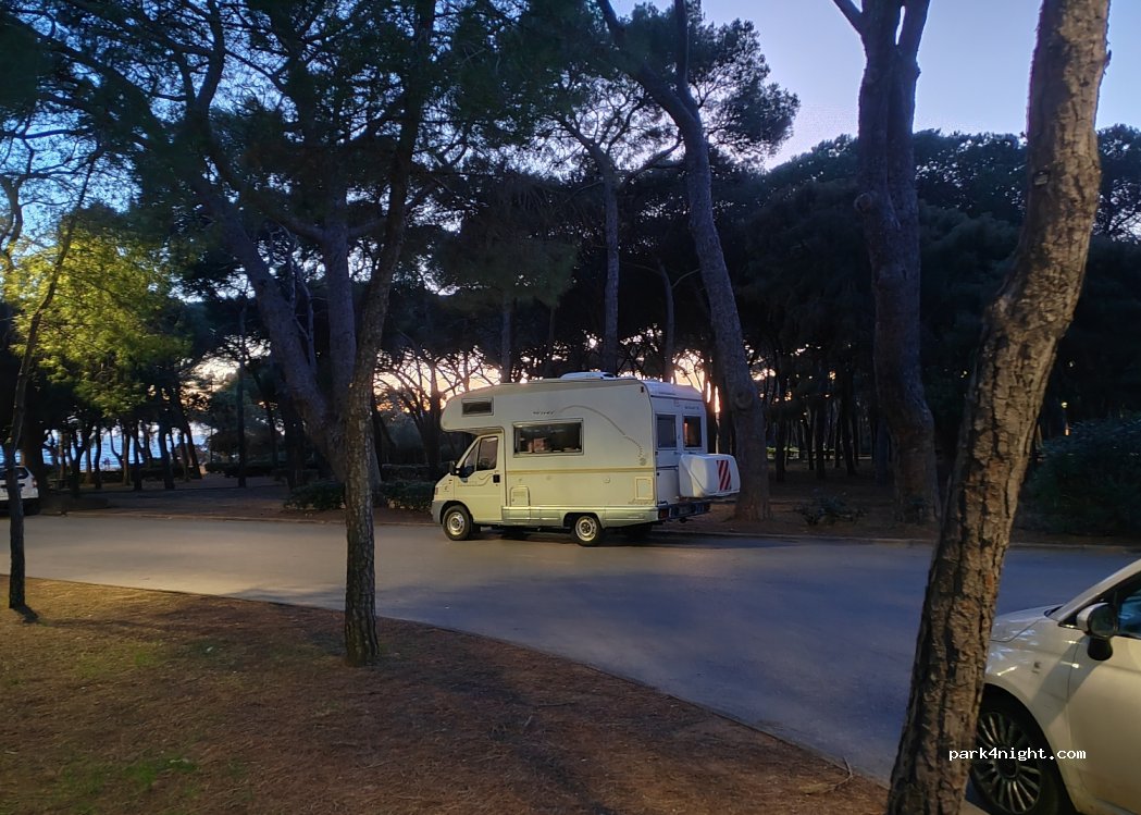 (57016) Rosignano Solvay-Castiglioncello - 9 Via della Pineta — foto 2