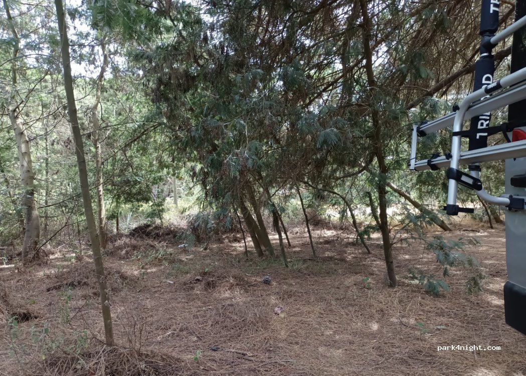 (20213) Castellare-di-Casinca - Anghione — foto 3