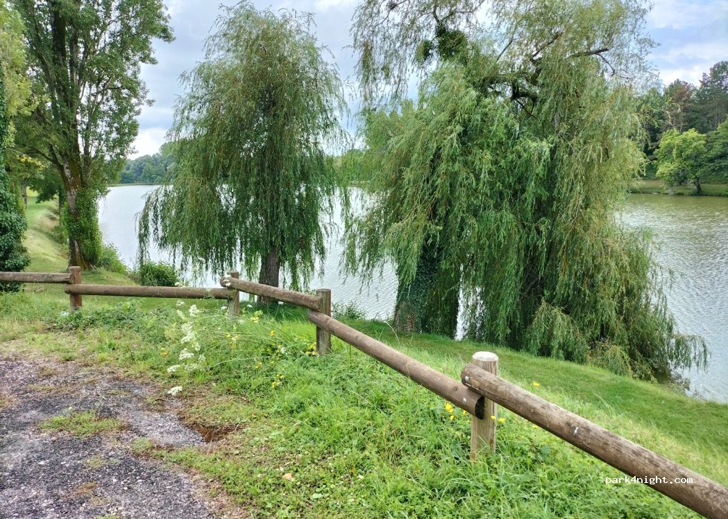 (18110) Saint-Martin-d'Auxigny - 1341 Route de l'Étang de la Salle — foto 2