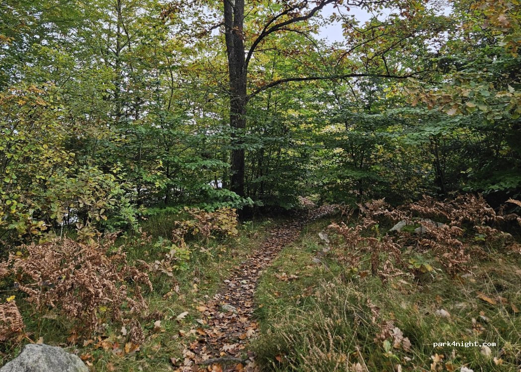 (439 74) Fjärås - Skärsjövägen — foto 4
