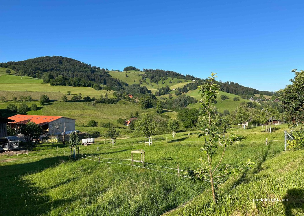 (79289) Horben - Steinmühlenweg — foto