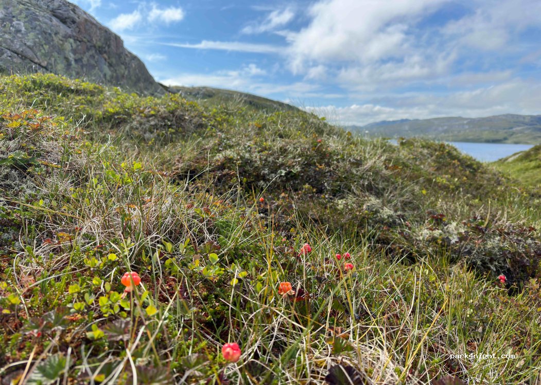 (4443) Tjørhom - 3233 Suleskarvegen — foto