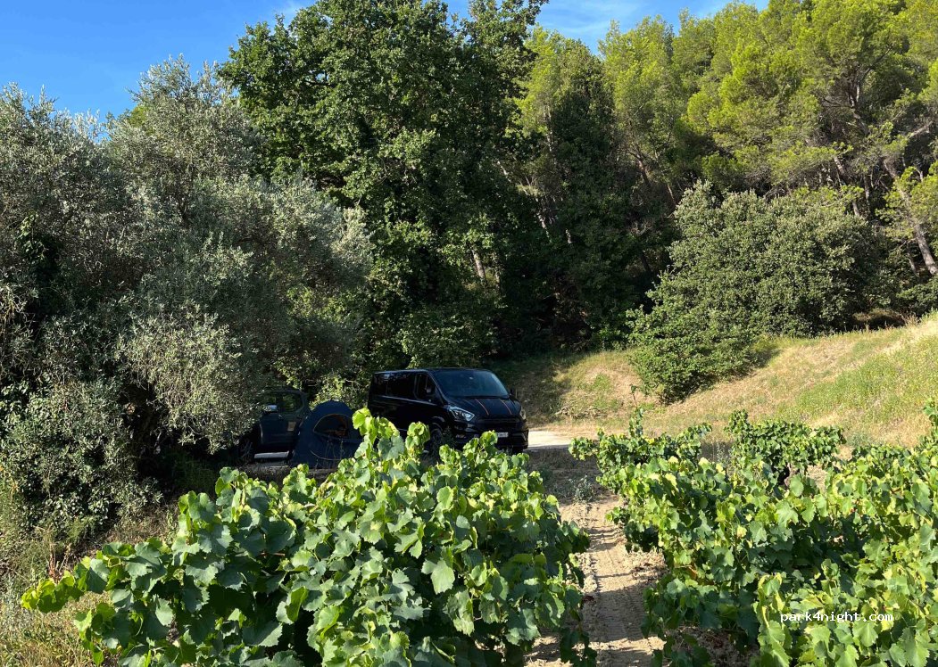 (84350) Courthézon - 2389 Route de Châteauneuf — foto 4