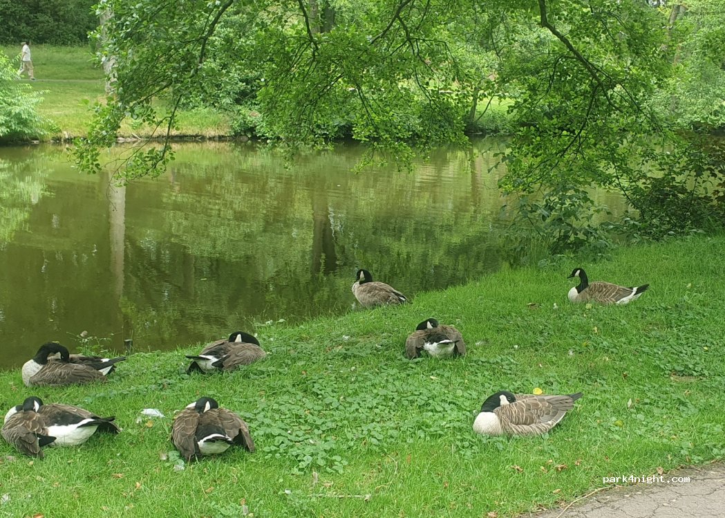 (66539) Neunkirchen - 15 Beim Wallratsroth — foto 2