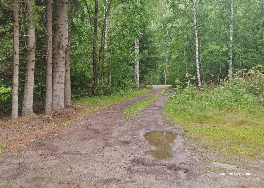 (40800) Jyväskylä - 109 Kotaniementie — foto