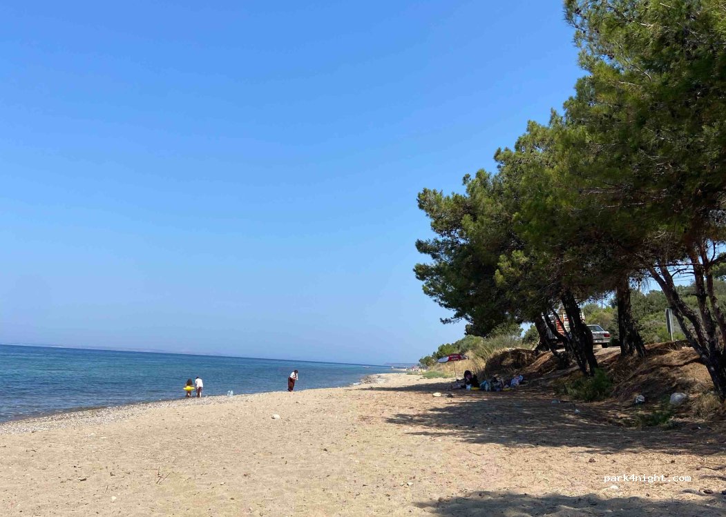 (17600) Tavaklı - — foto