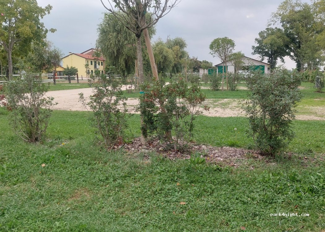 Agriturismo Brussa Horse Oasi — foto 4