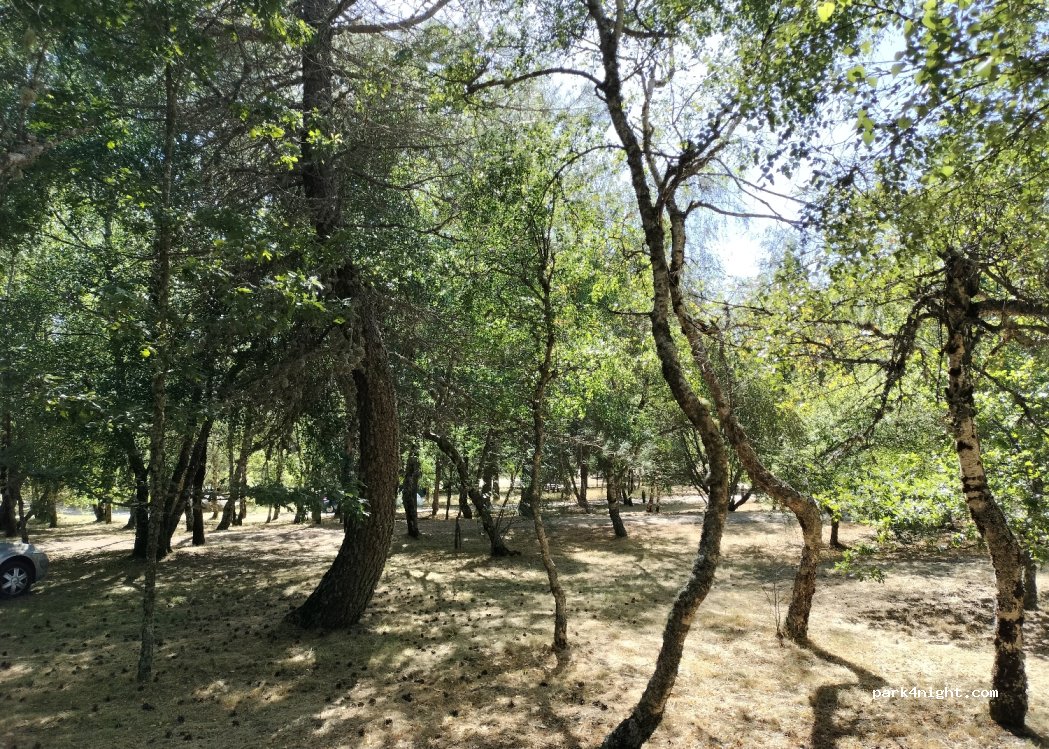 Vale do Rossim Eco resort — foto