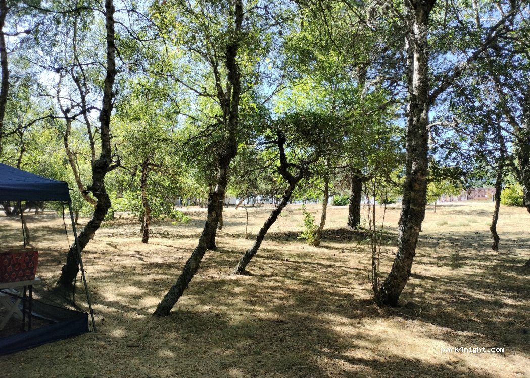 Vale do Rossim Eco resort — foto 2