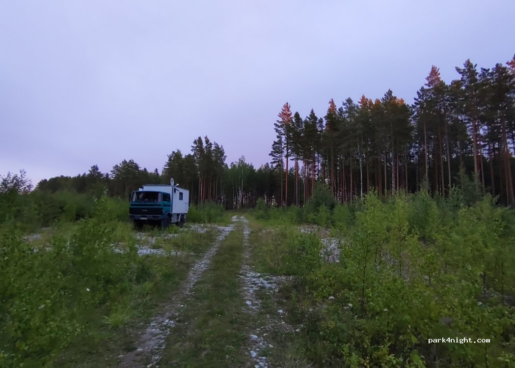(41110) Sälliku - — foto