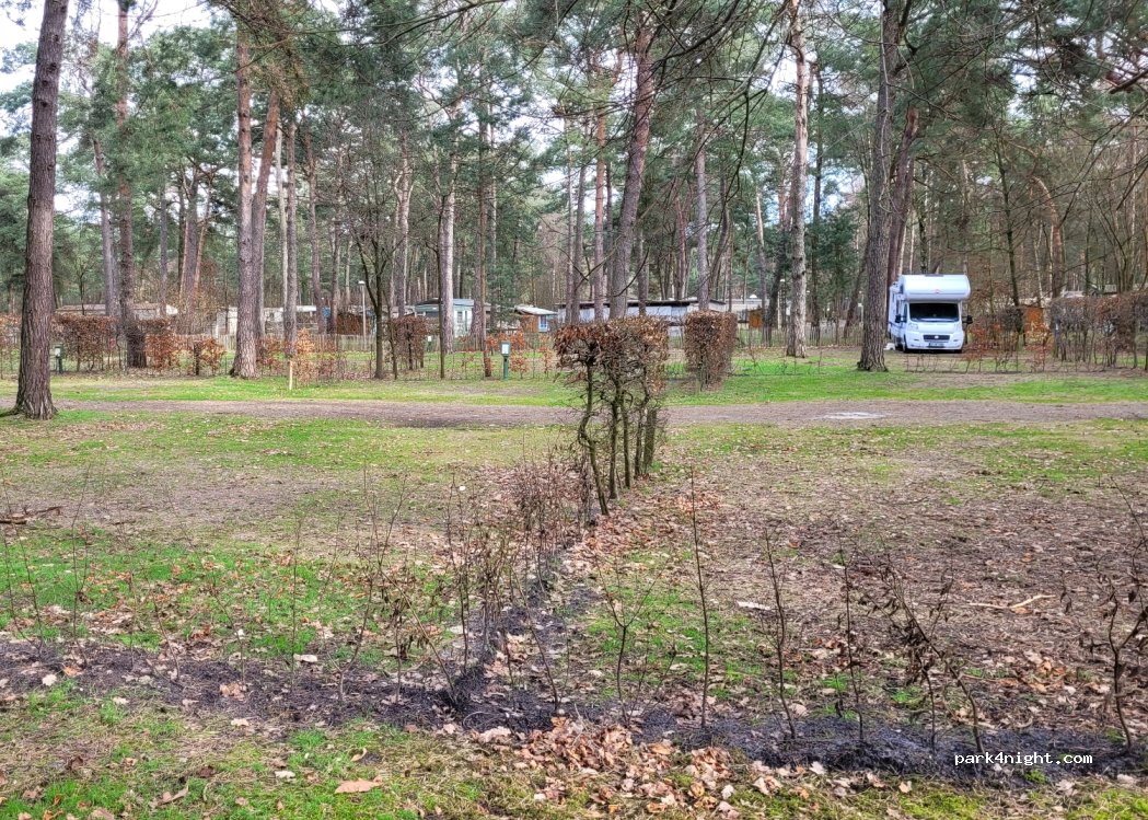 Camping Zilvermeer — foto 4
